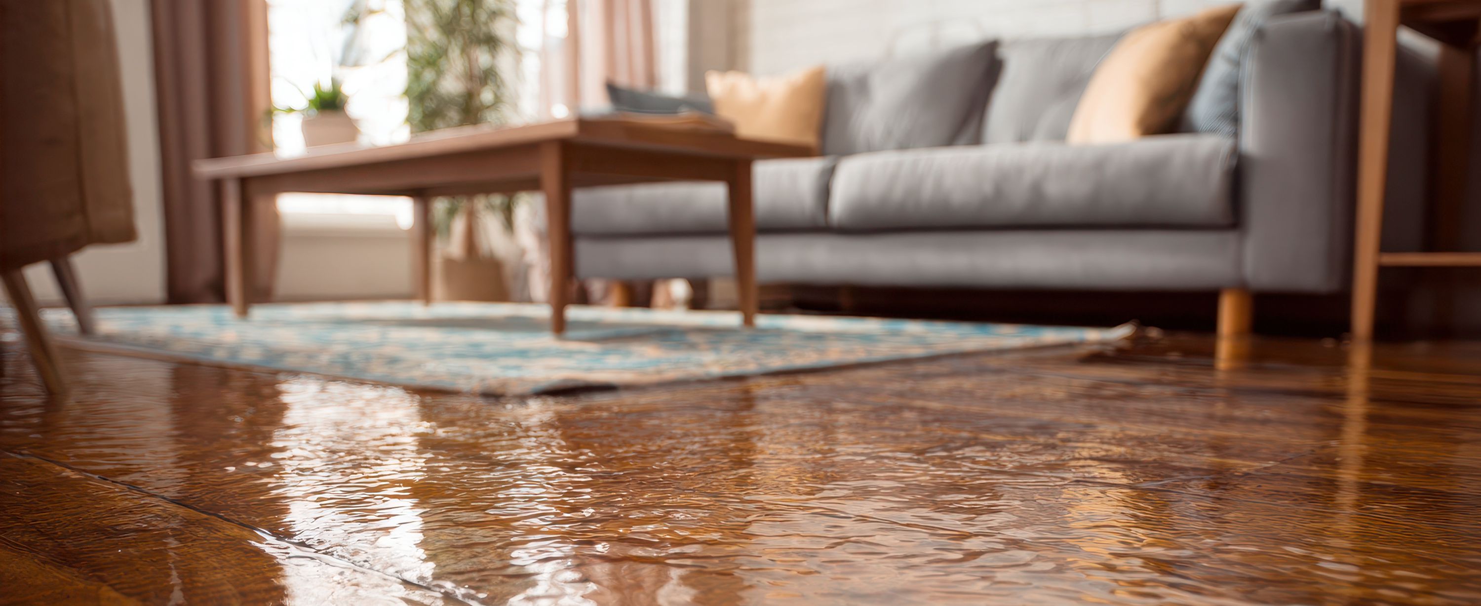 Wasserschadensanierung BWS