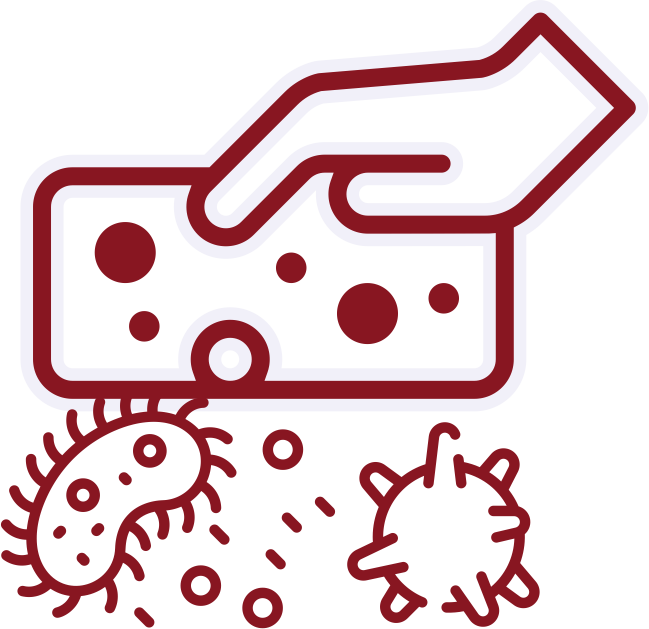 Schimmelbeseitigung & Reinigung